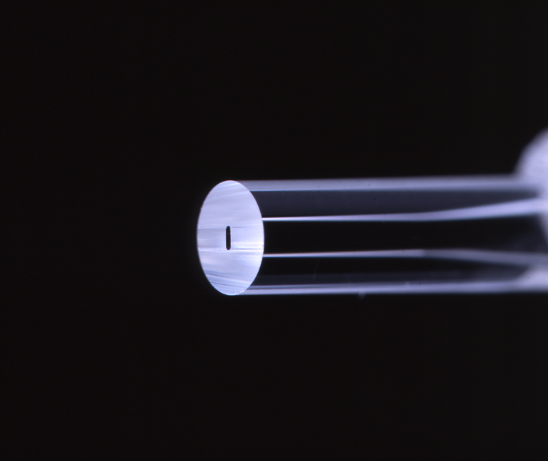 photo of a Polygonal Capillary